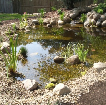 pond